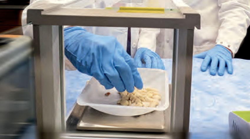 decorative - gloved hands with research materials