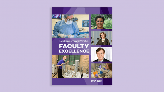 Faculty Excellence publication