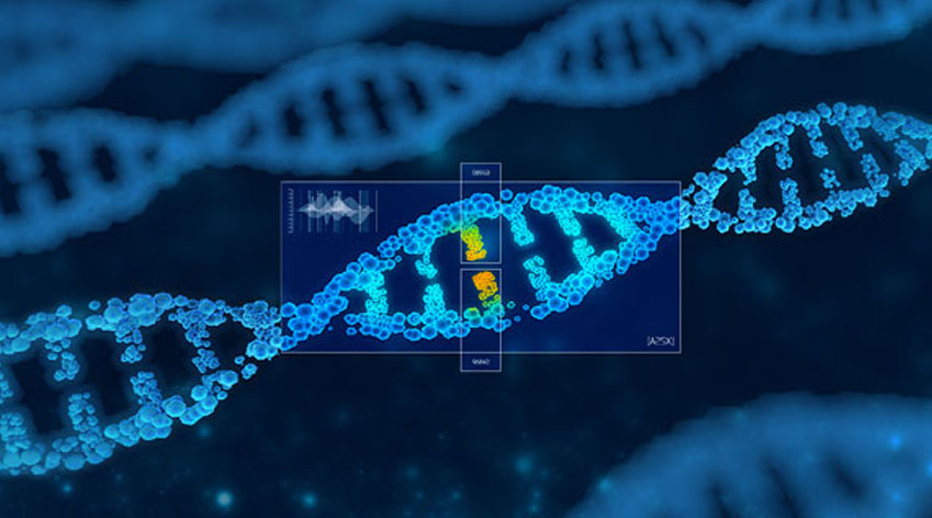 decorative - synth bio image